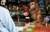 The Great British Pup Crawl